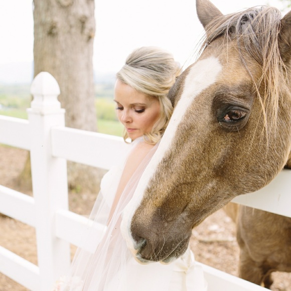 Meet your Posher, Tara - Picture 1 of 1